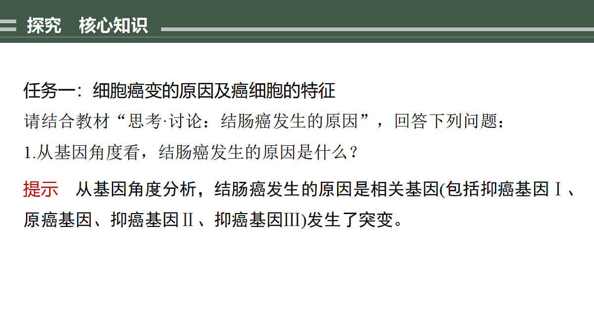 17776363第7页