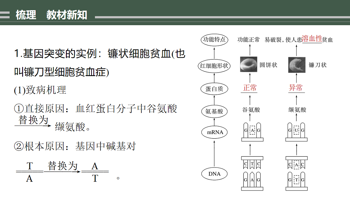 17776364第2页