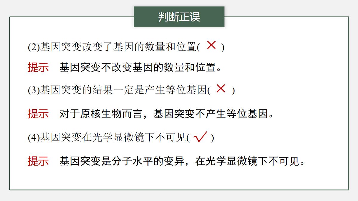 17776364第5页