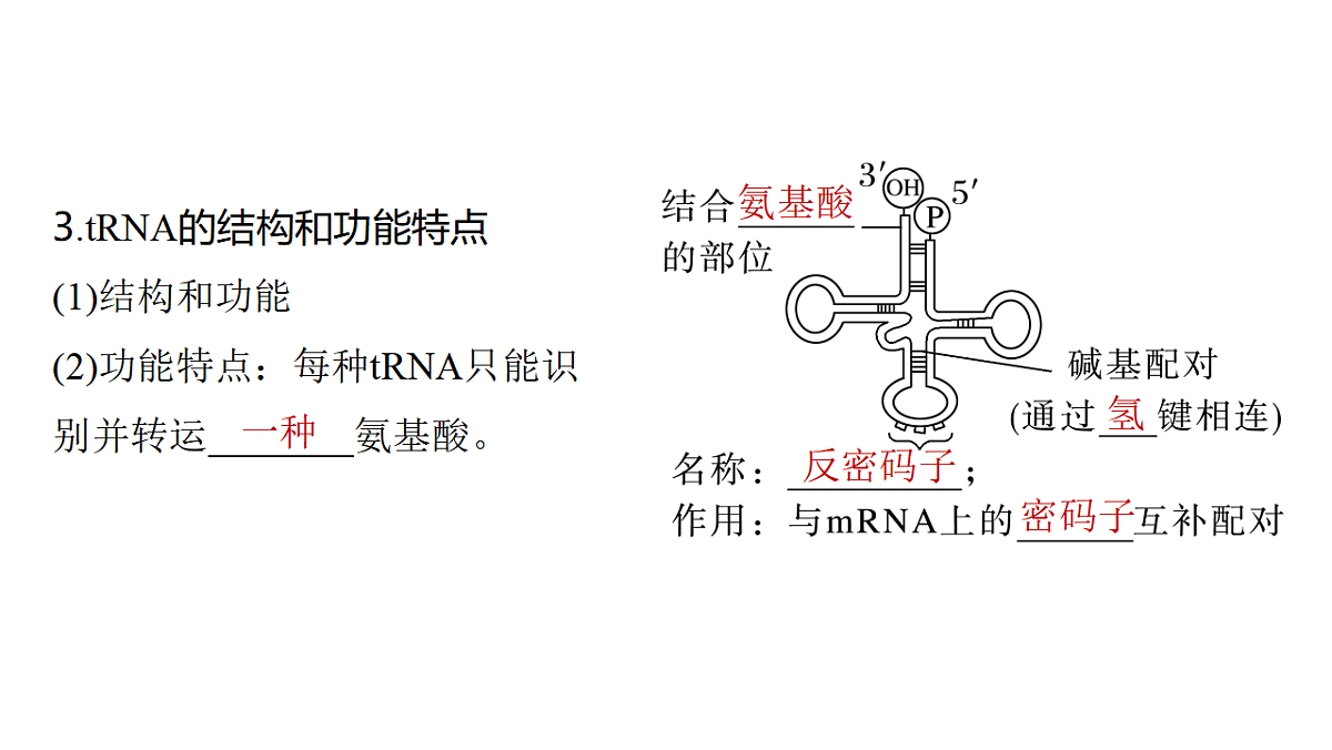 17776365第5页