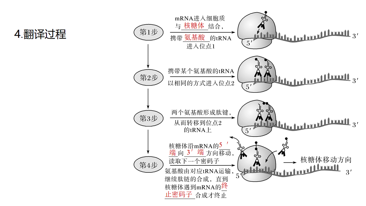 17776365第6页