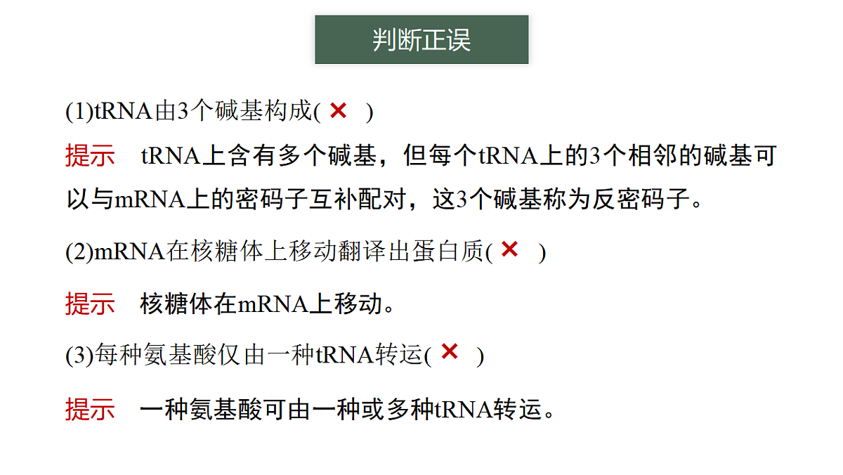 17776365第7页