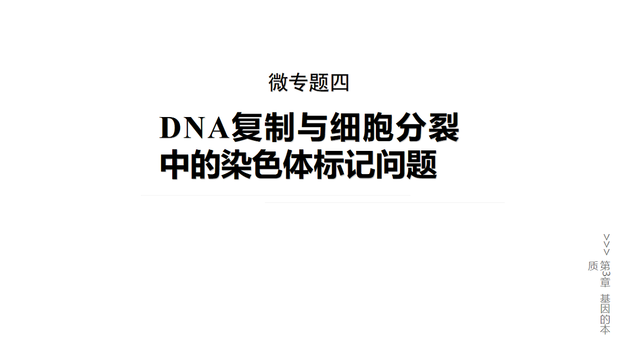 17776366第1页
