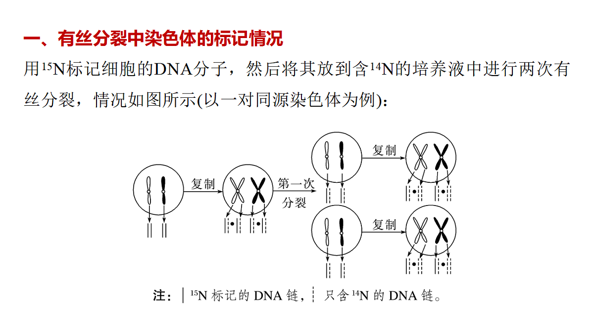 17776366第2页
