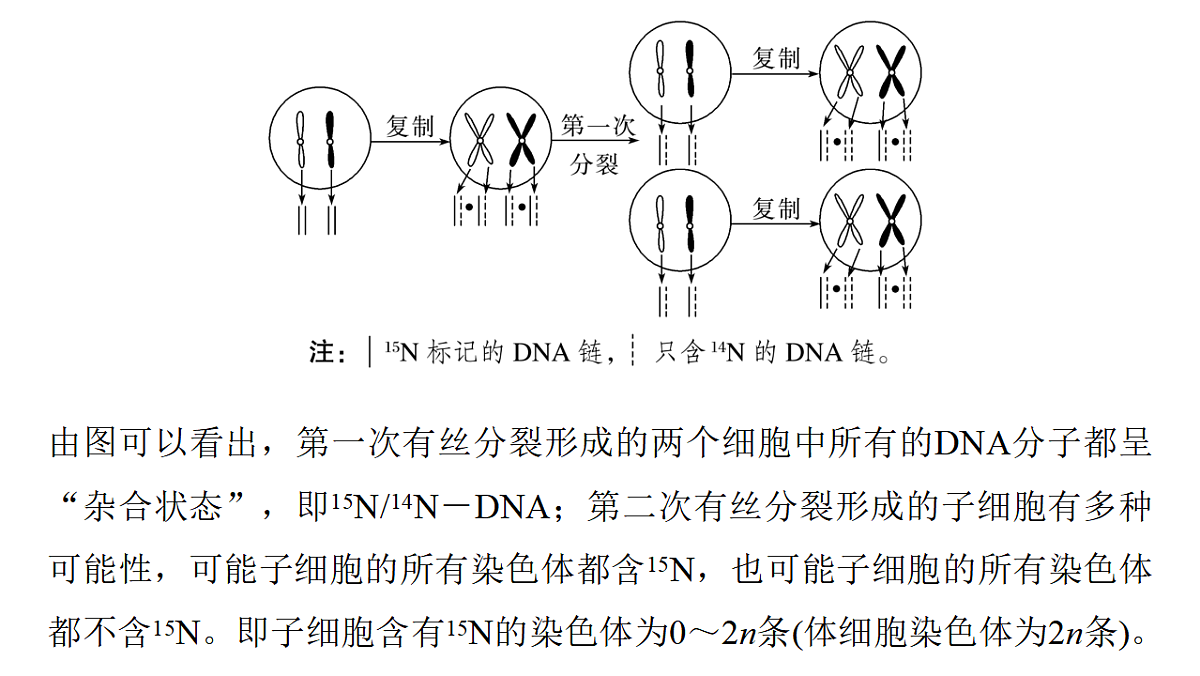 17776366第3页