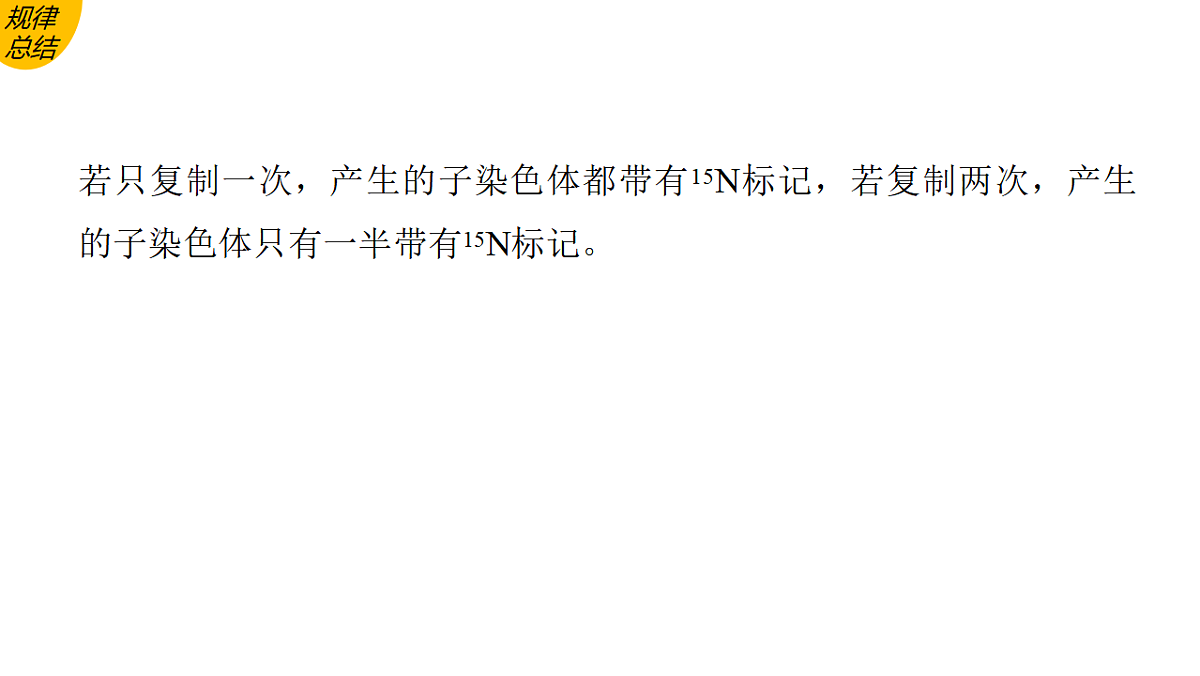 17776366第4页