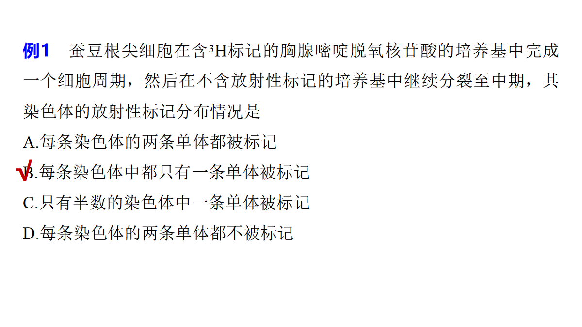 17776366第5页