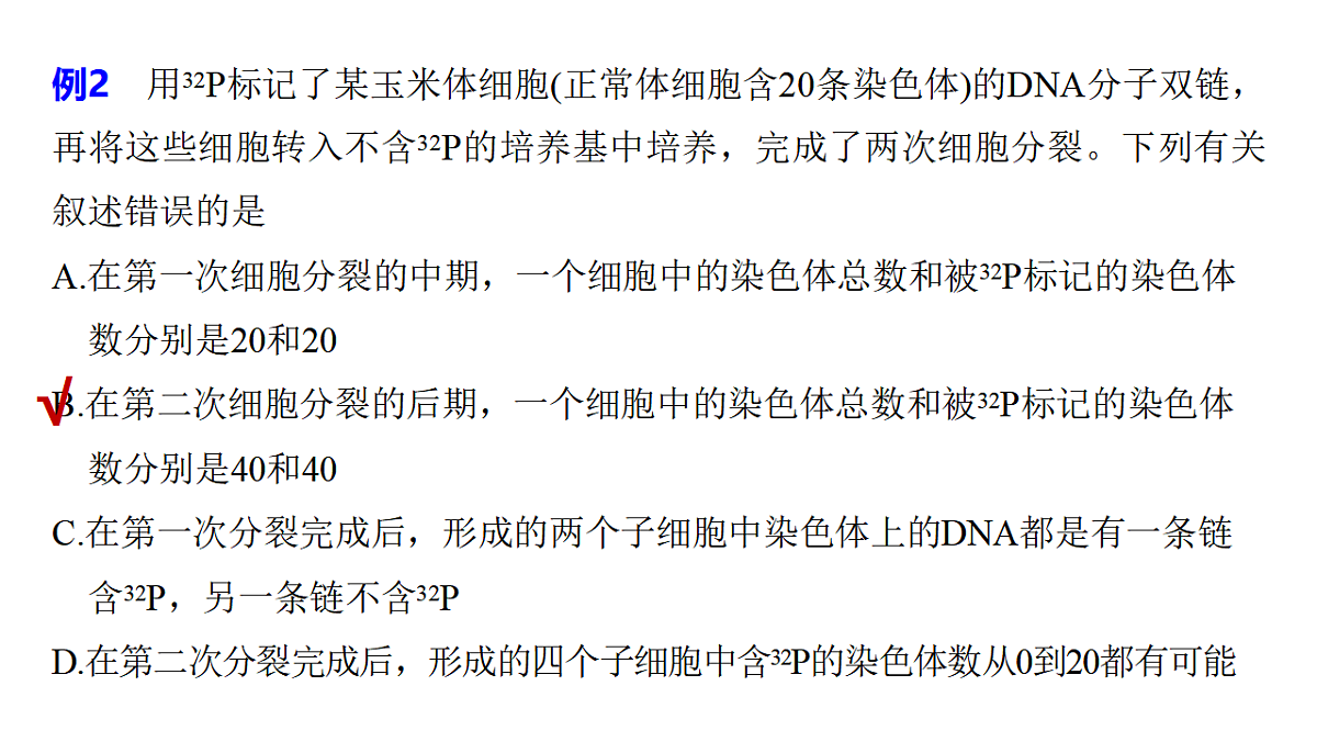 17776366第6页
