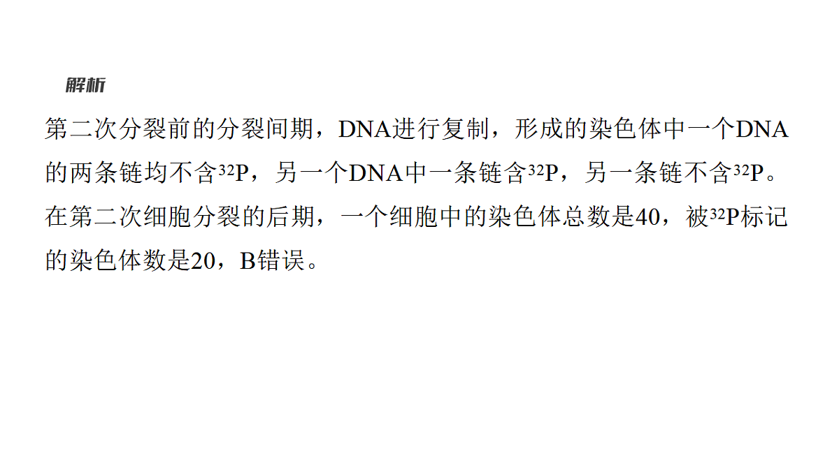 17776366第7页