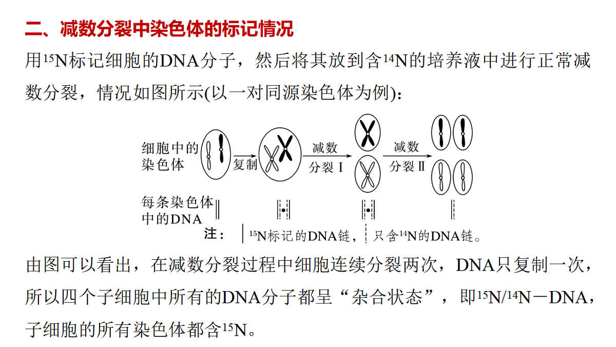 17776366第8页