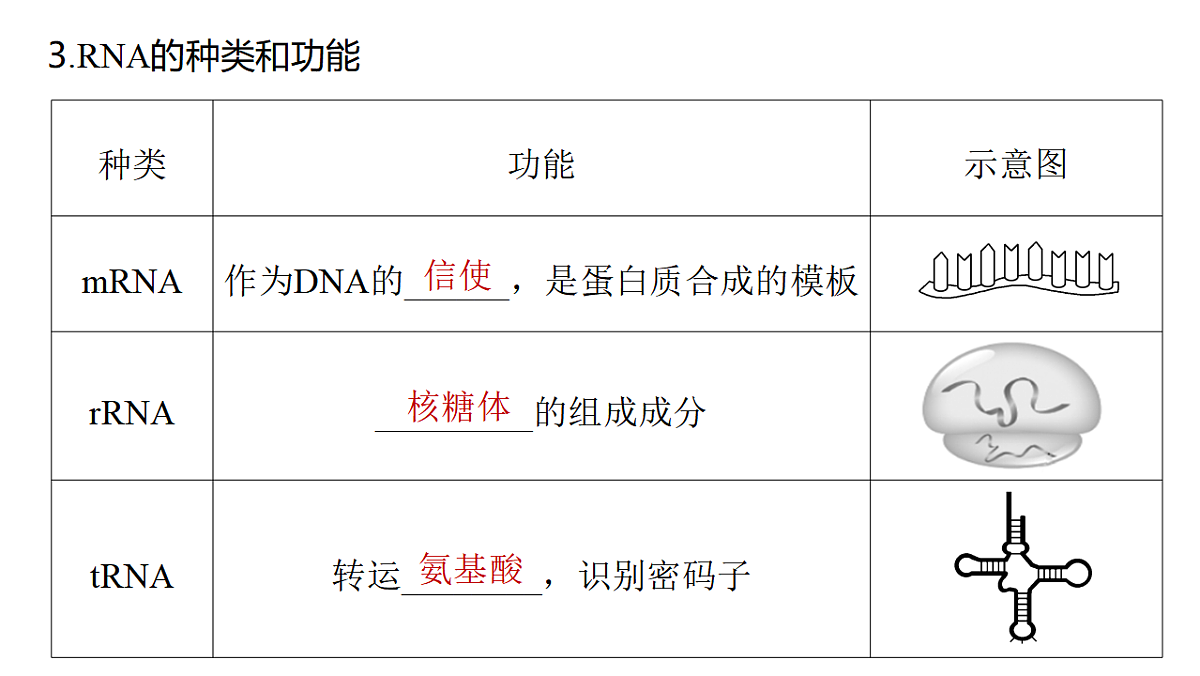 17776367第6页