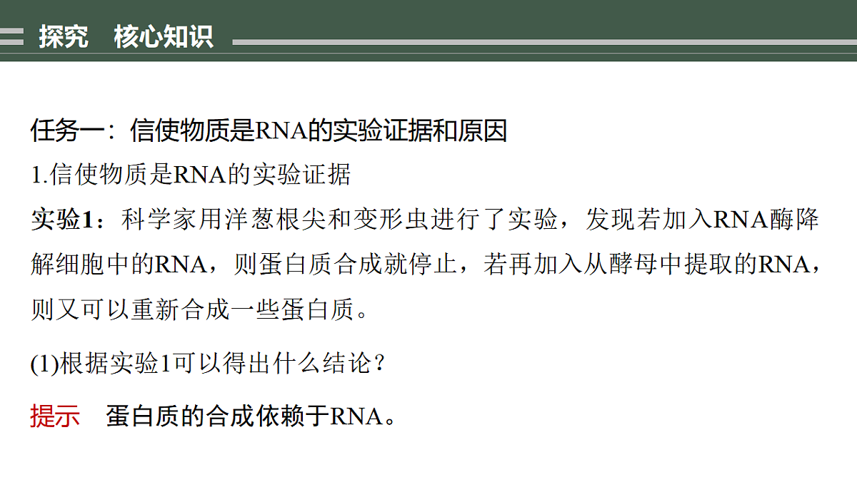17776367第8页
