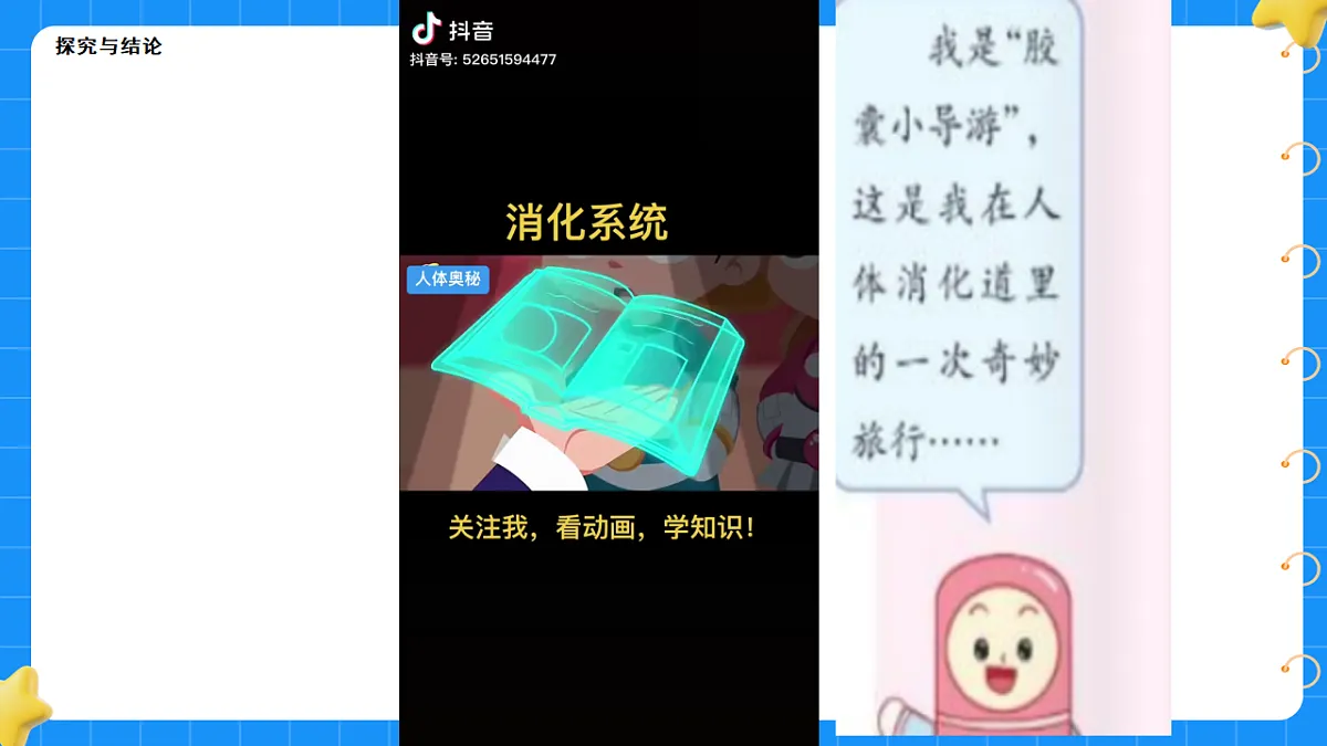 17776544第3页