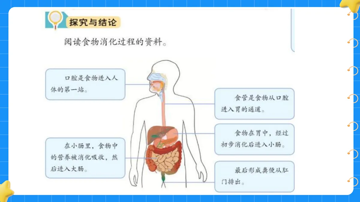 17776544第4页