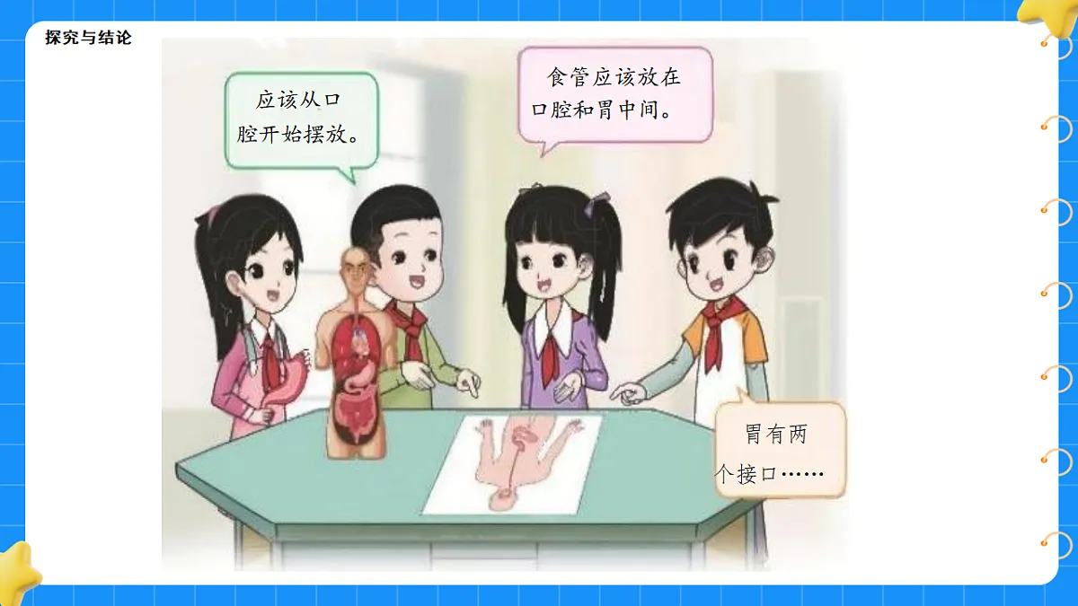 17776544第7页