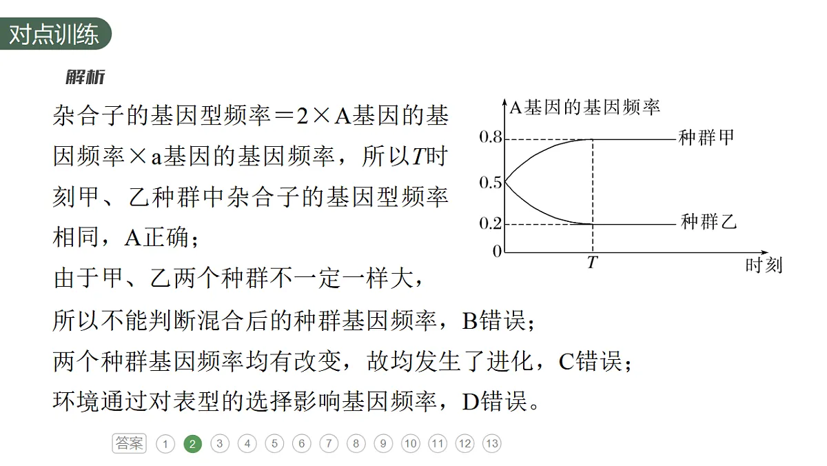 17777687第7页