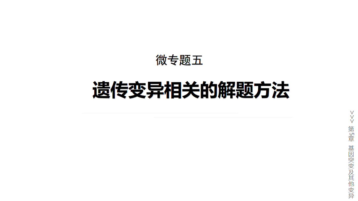 17778055第1页