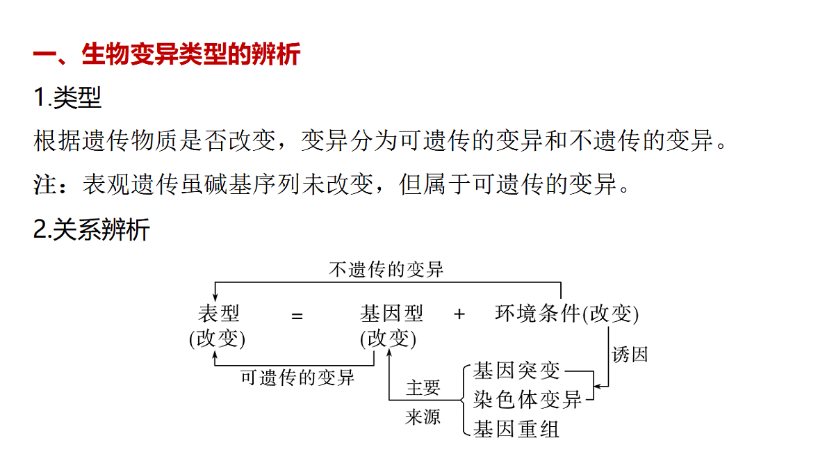 17778055第2页