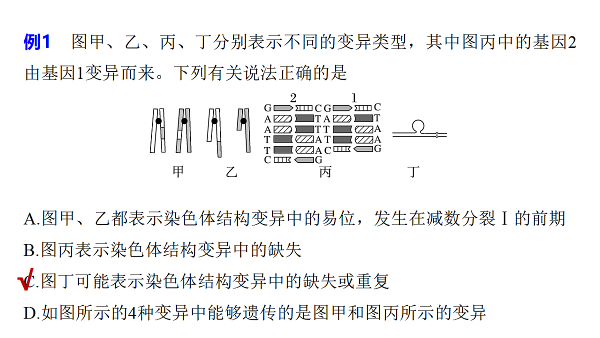 17778055第5页