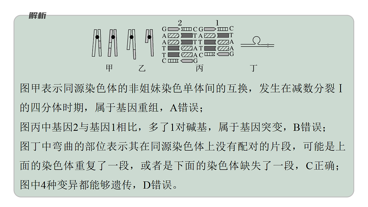 17778055第6页