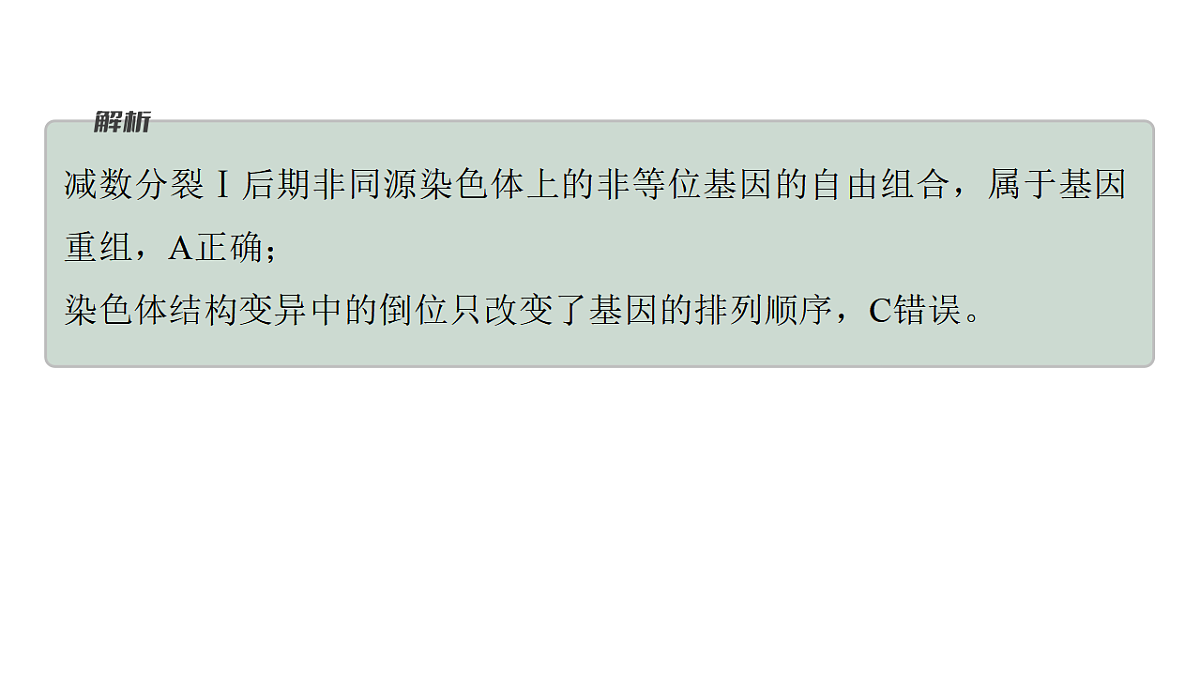17778055第8页