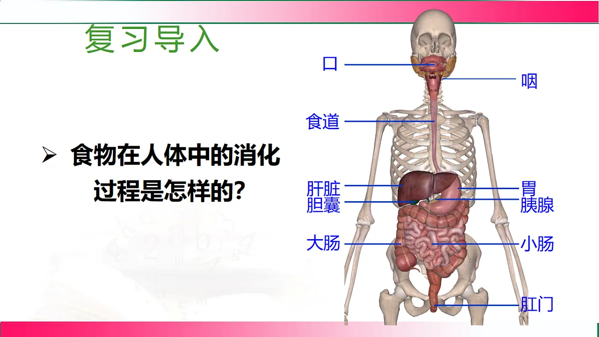 17778452第3页