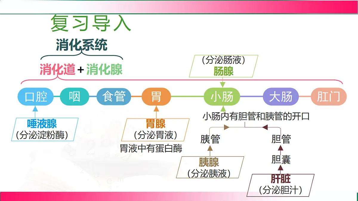 17778452第4页