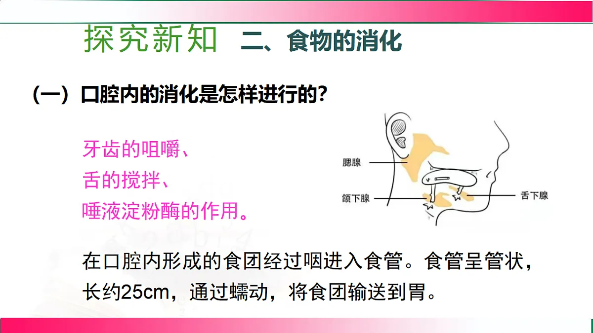 17778452第5页