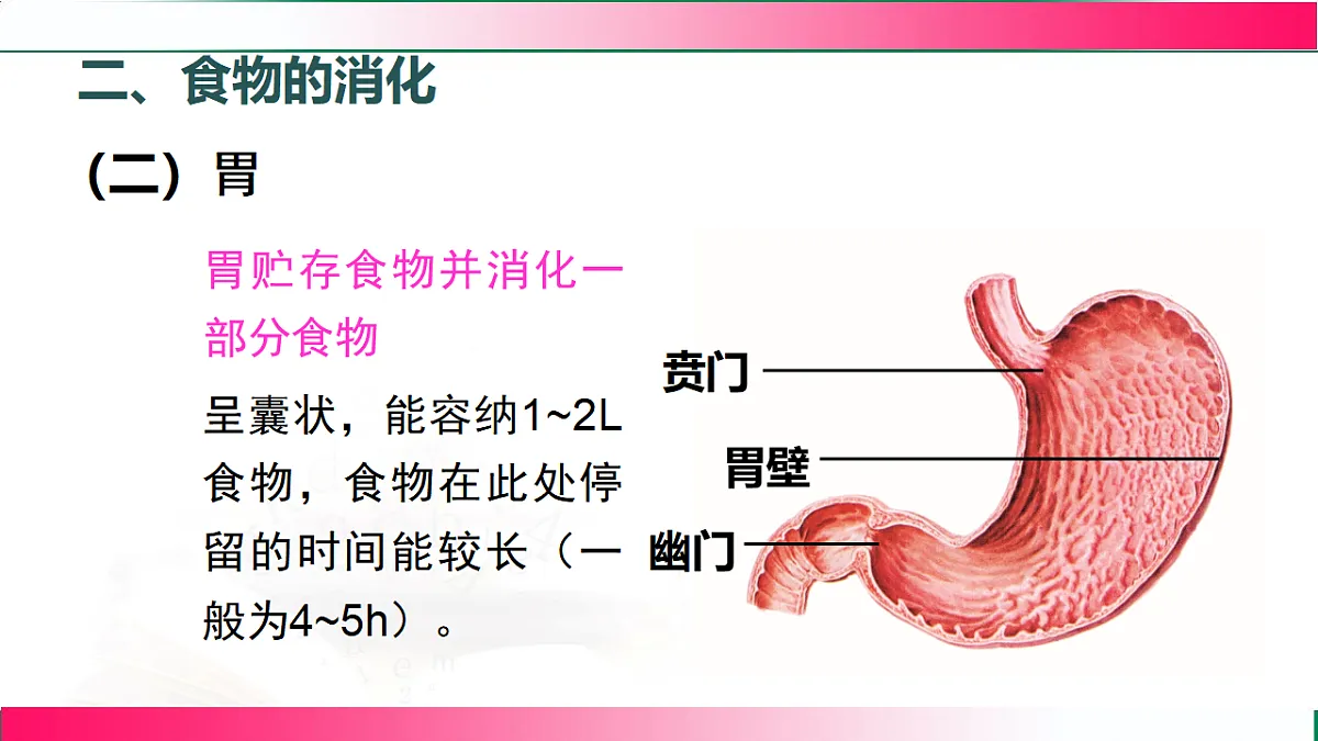 17778452第6页