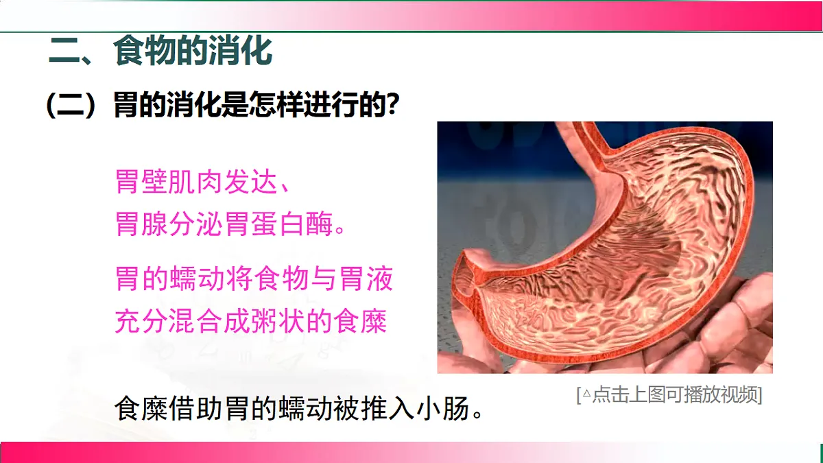 17778452第7页