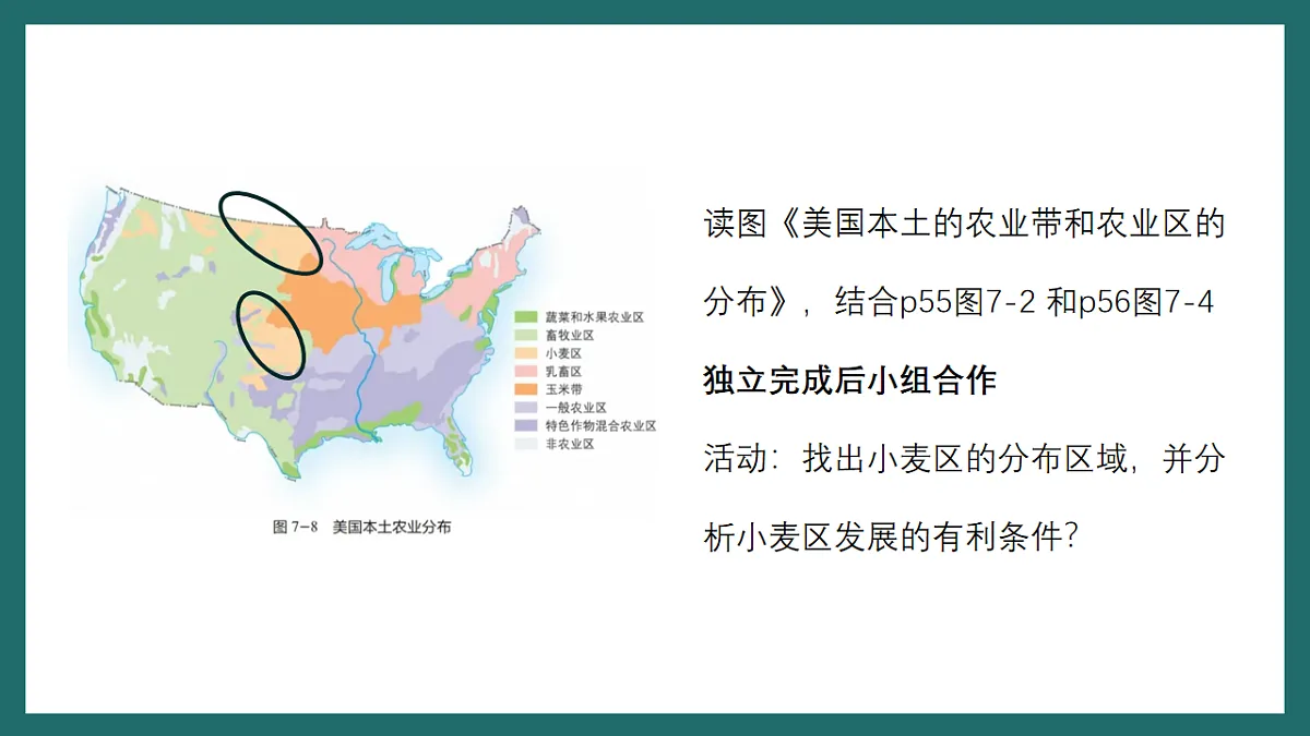 17780544第7页