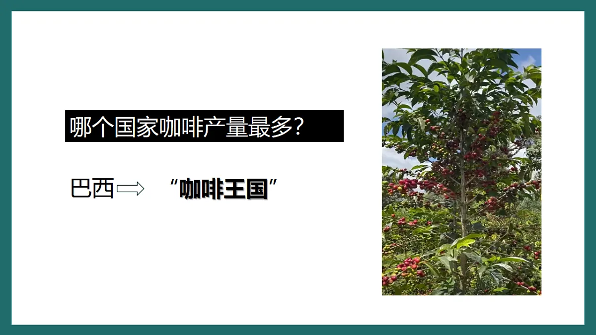 17780552第5页