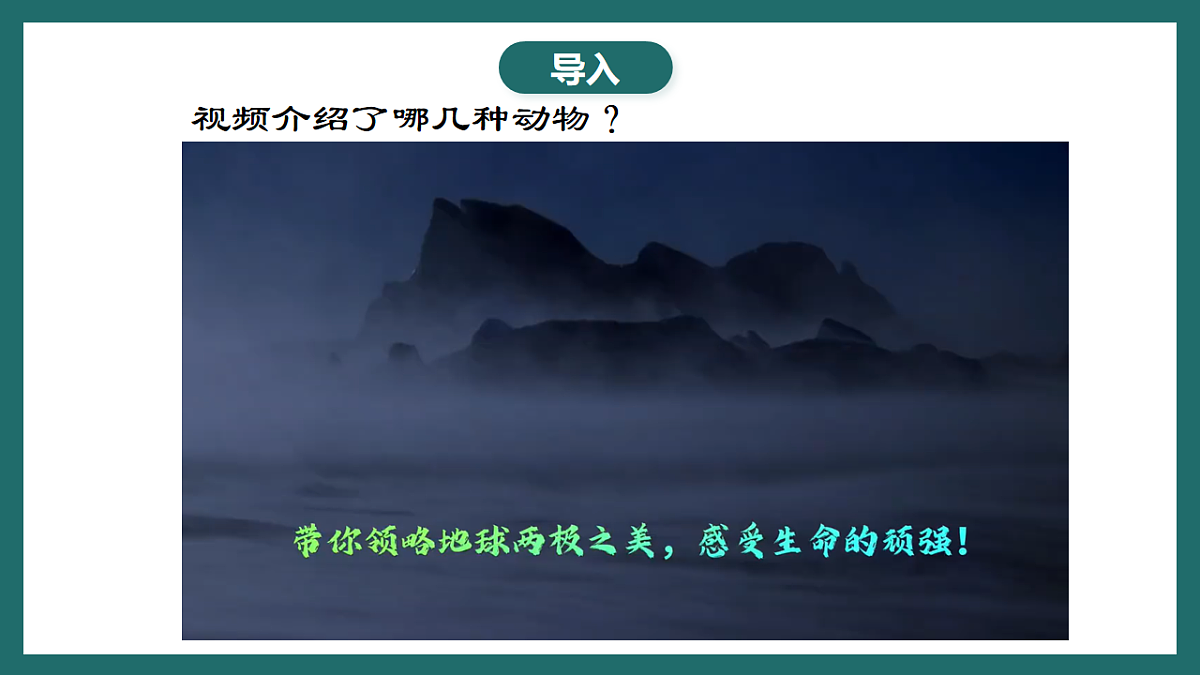 17780554第3页