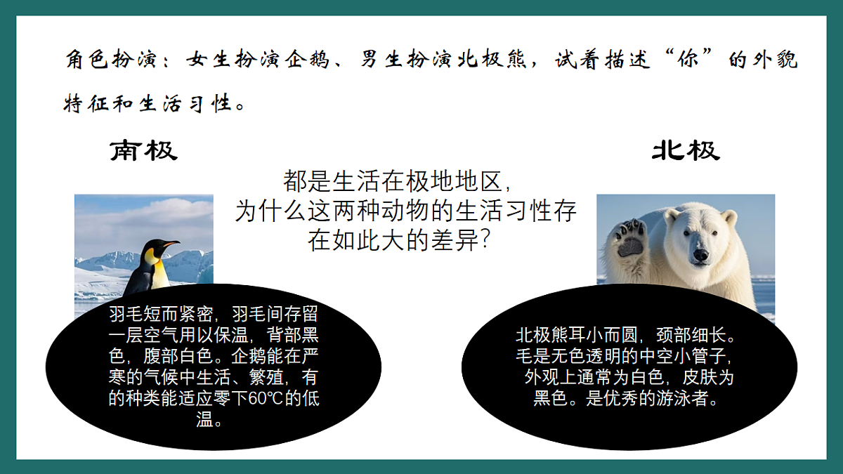 17780554第4页