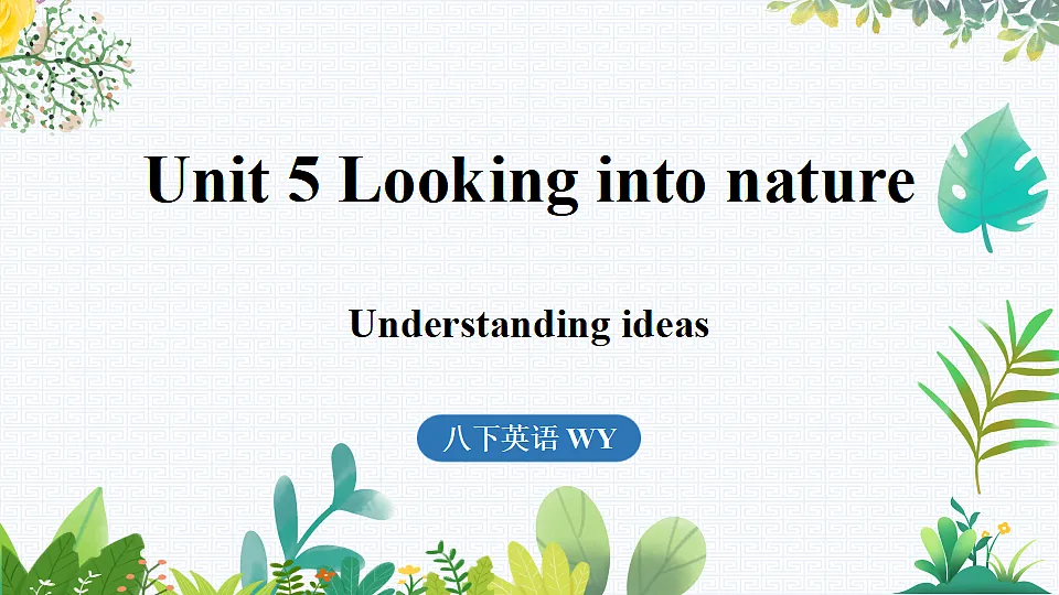 17785544第1页