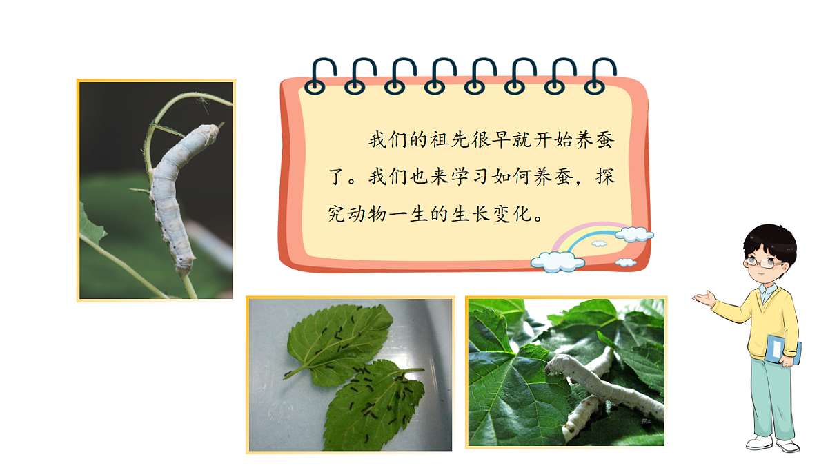 17786100第3页