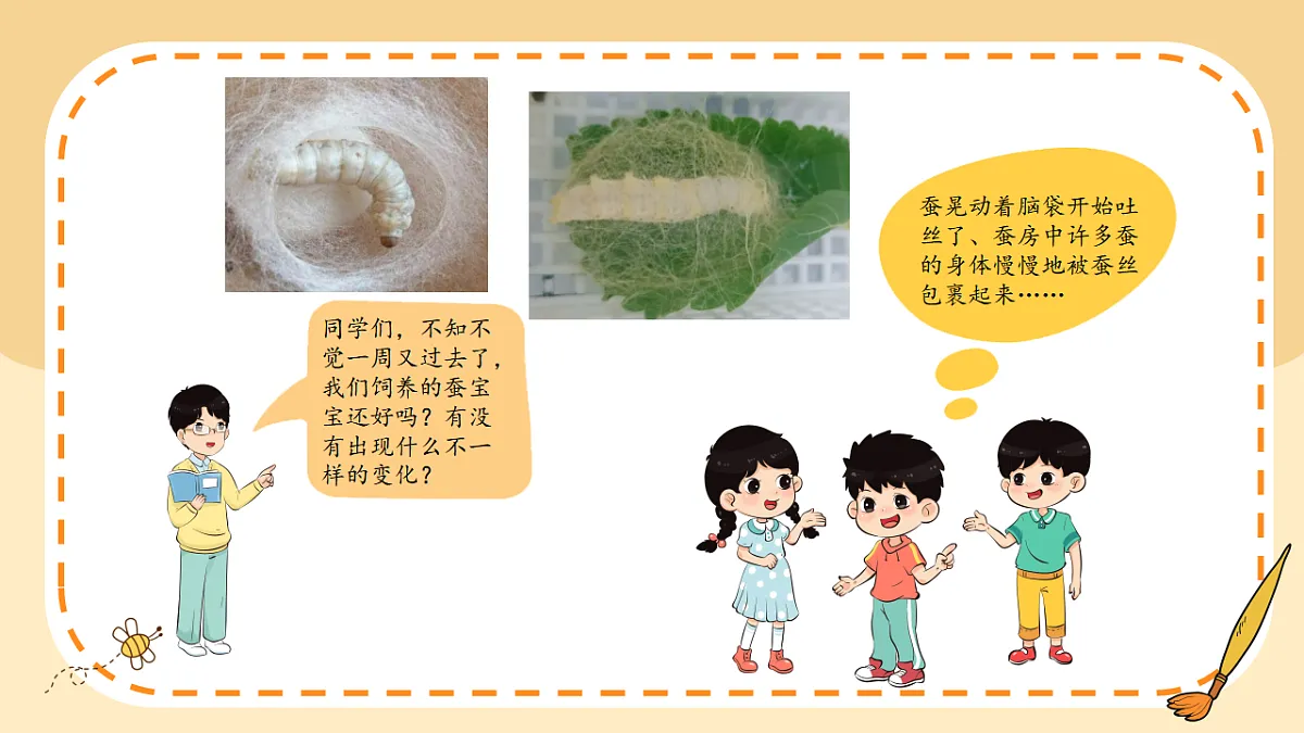 17786102第2页