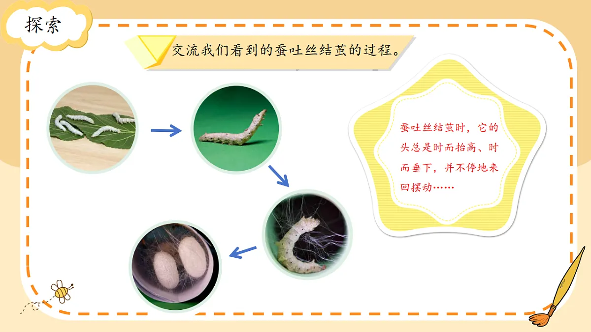 17786102第4页