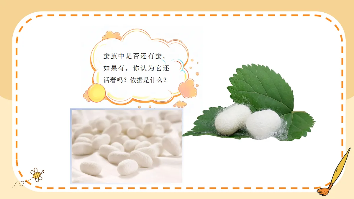 17786102第6页
