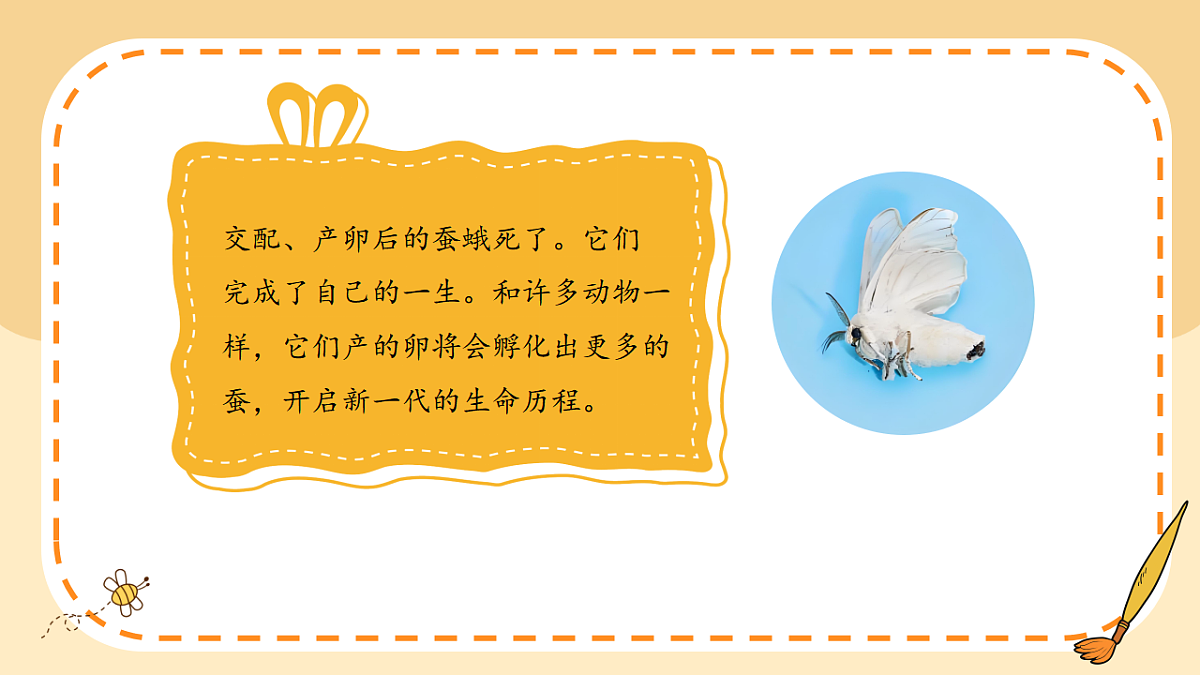 17786104第2页