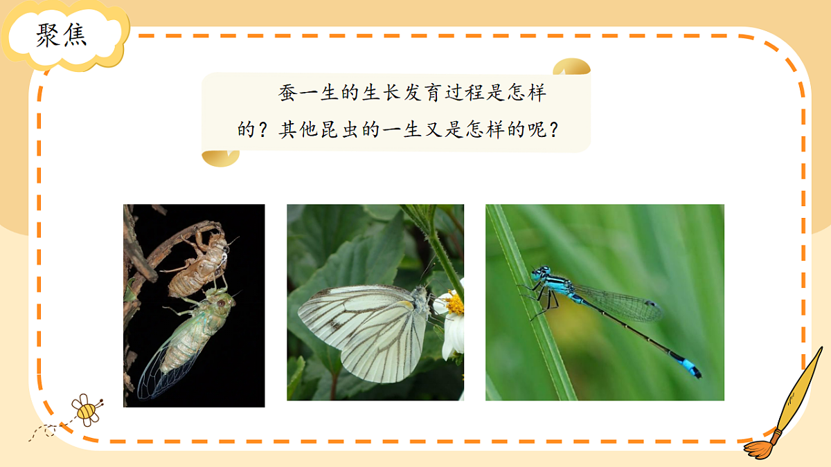 17786104第3页