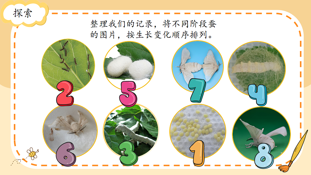 17786104第4页