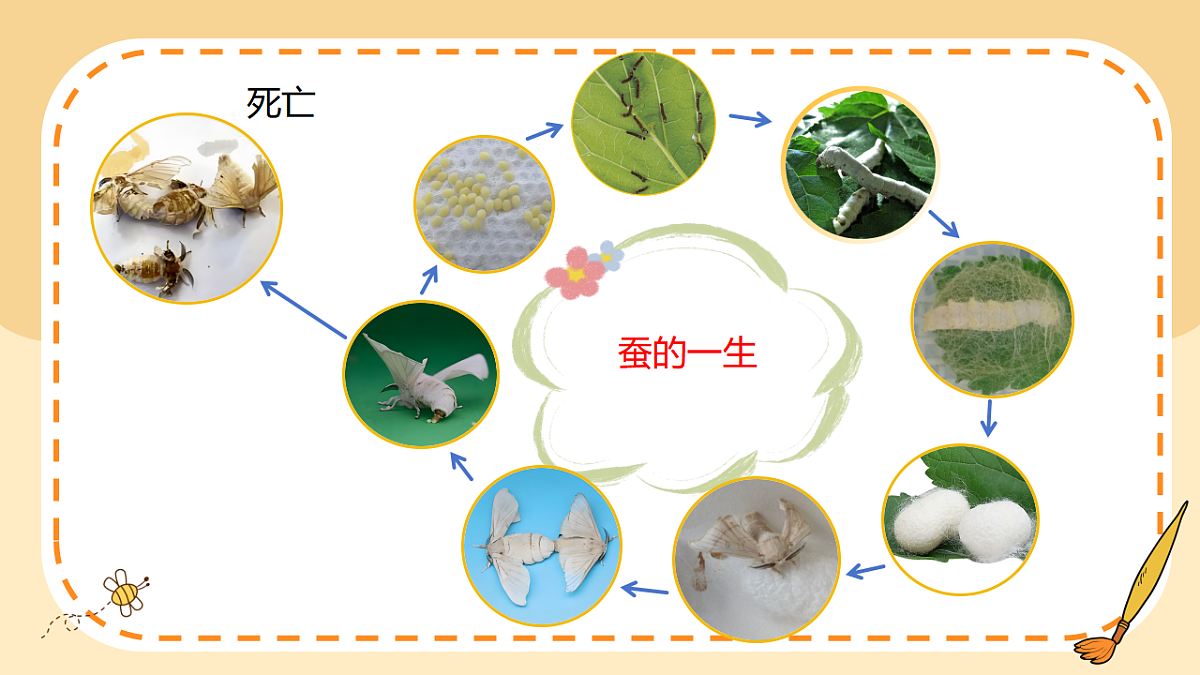 17786104第5页