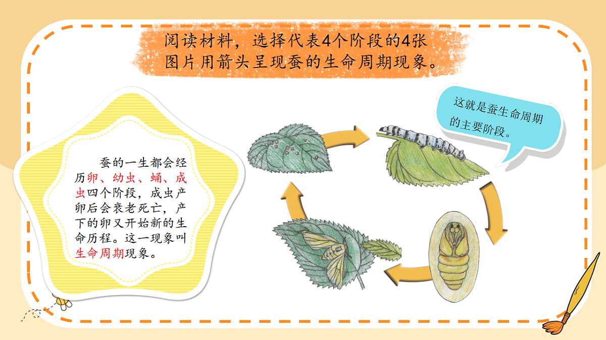 17786104第6页