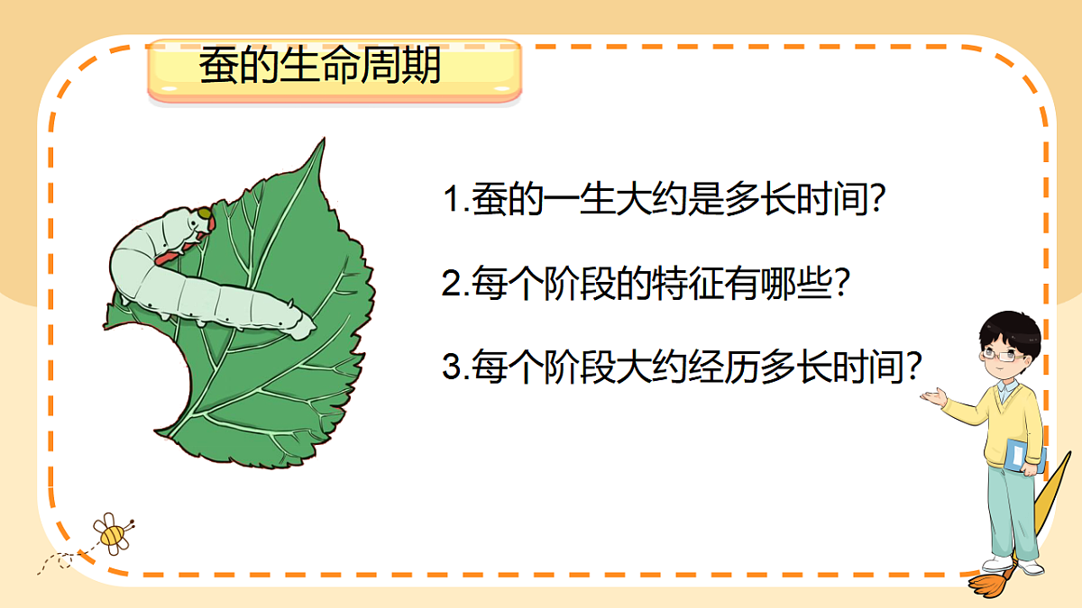 17786104第8页