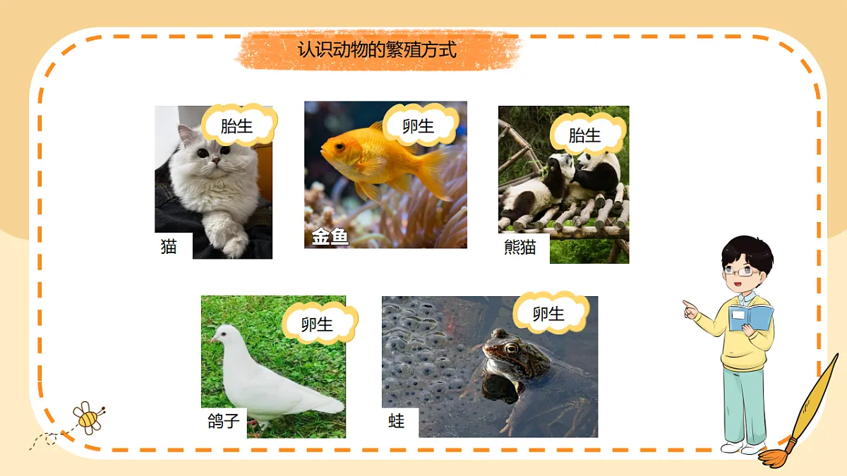 17786115第7页