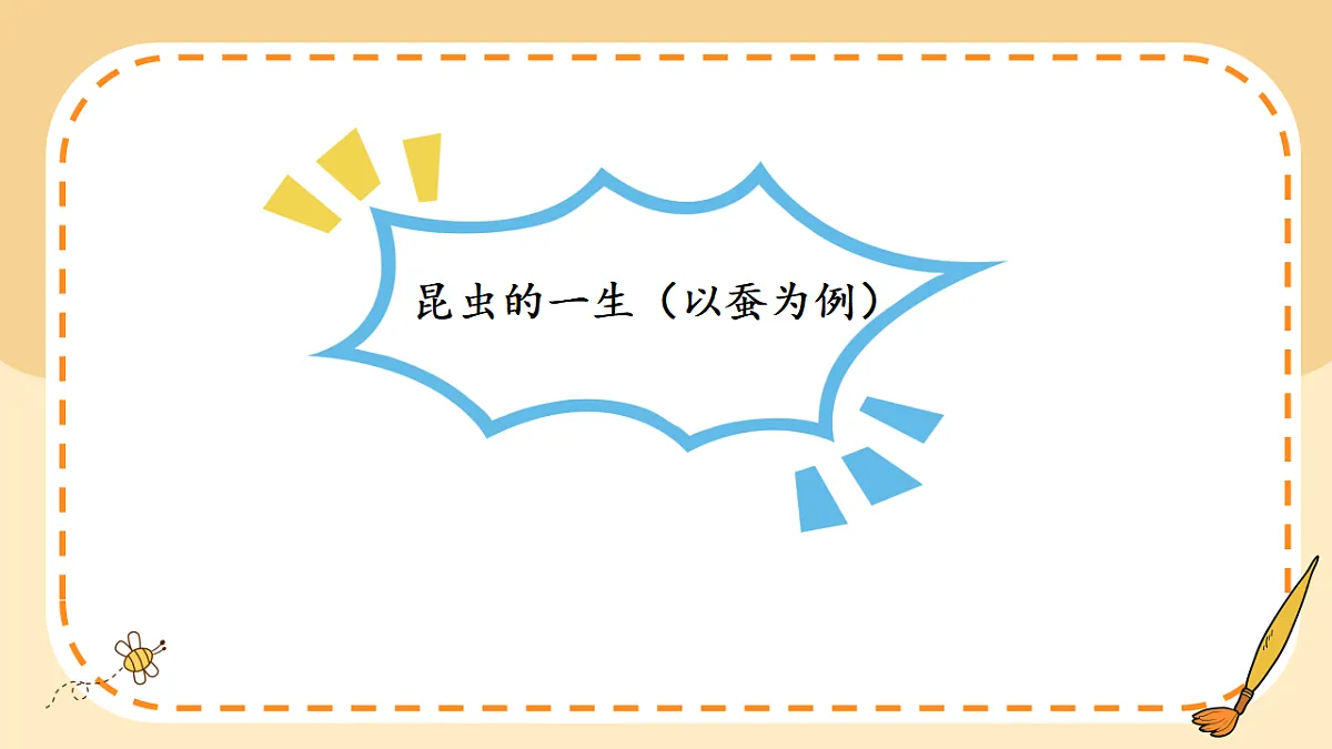 17786115第8页