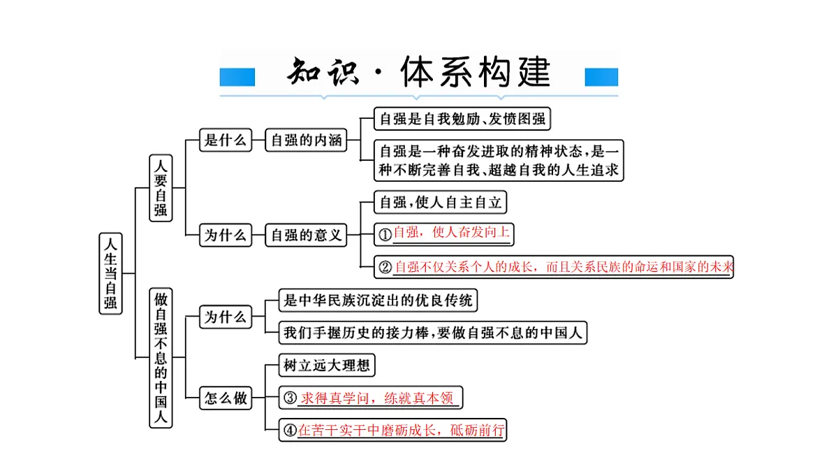 17791480第2页