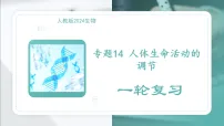 2026年中考一轮生物复习课件：专题14 人体生命活动的调节
