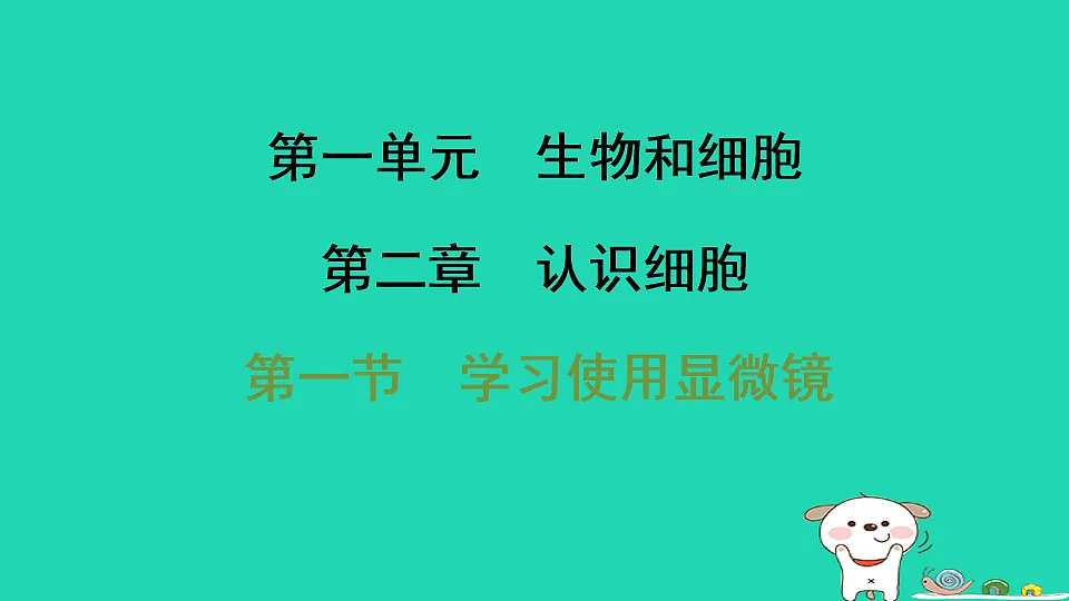 17795210第1页